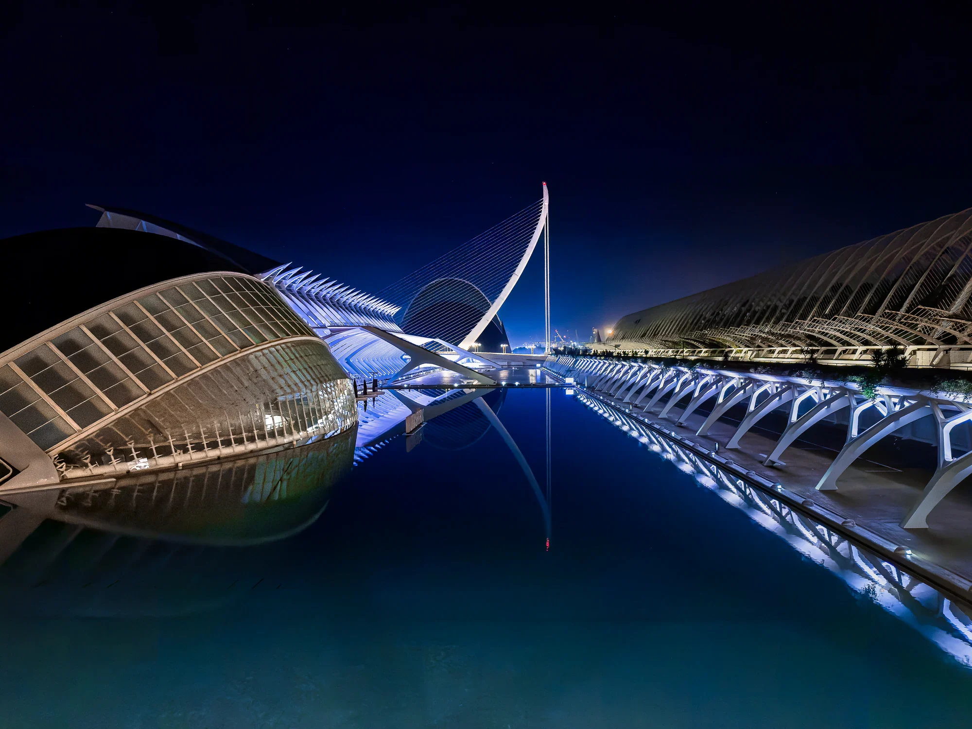 Illuminated ribs and the cable-stayed Assut de l’Or bridge reflected in dark water at Valencia’s City of Arts and Sciences.